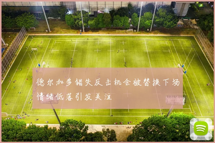 德尔加多错失反击机会被替换下场情绪低落引发关注