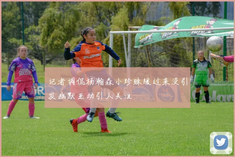 记者调侃杨瀚森小珍珠缓过来没引发幽默互动引人关注