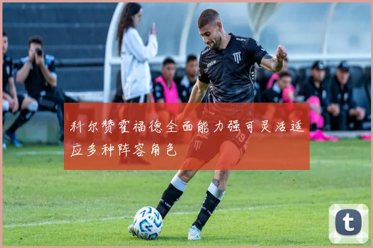科尔赞霍福德全面能力强可灵活适应多种阵容角色