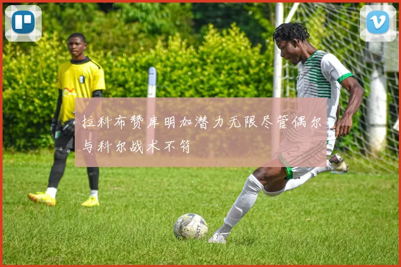 拉科布赞库明加潜力无限尽管偶尔与科尔战术不符